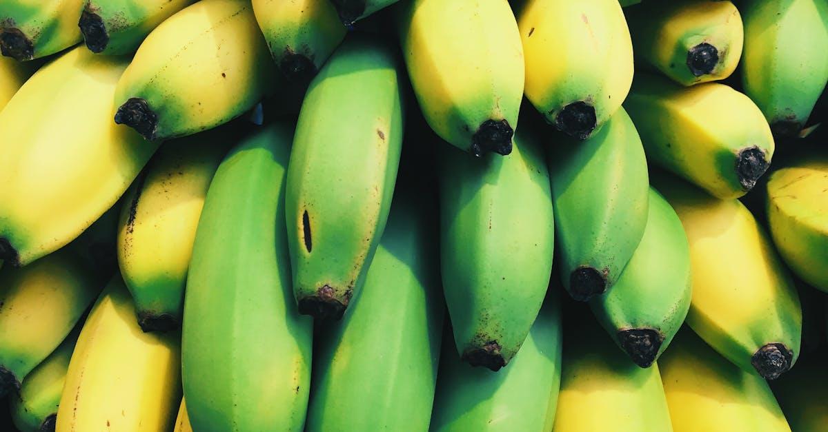 découvrez les nombreux bienfaits du plantain, une plante médicinale et alimentaire aux vertus reconnues. apprenez à l’identifier, la consommer et l’utiliser au quotidien pour votre santé.