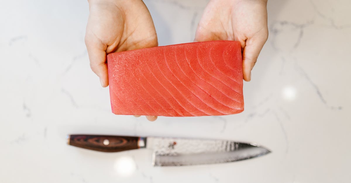 découvrez tout sur le thon : ses bienfaits nutritionnels, comment le choisir et le cuisiner, ainsi que des idées de recettes savoureuses à base de thon frais ou en conserve.