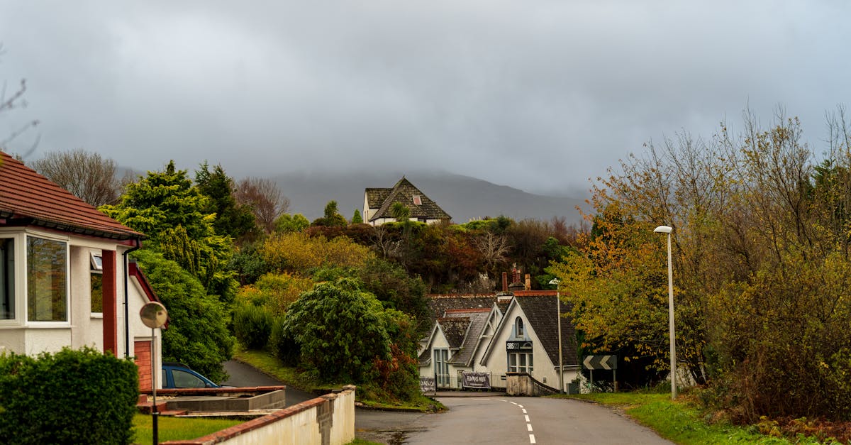 découvrez les plantes antivirales efficaces pour renforcer votre système immunitaire et combattre les infections naturellement.