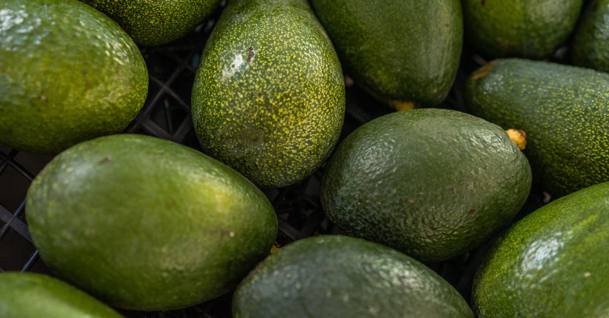 découvrez tout ce qu'il faut savoir sur le cholestérol : définition, causes, risques pour la santé et conseils pour le réduire naturellement.