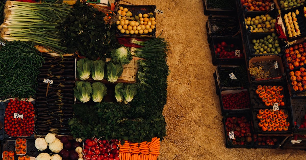 découvrez le régime gaps, une méthode nutritionnelle conçue pour améliorer la santé digestive et favoriser le bien-être global grâce à une alimentation adaptée.