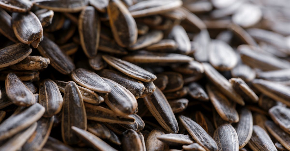 découvrez les bienfaits du magnésium, un minéral essentiel pour la santé. apprenez son rôle dans l’organisme, ses sources alimentaires et comment prévenir une carence.