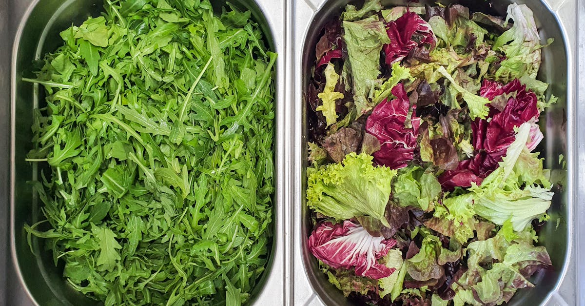 découvrez tout sur le remboursement de la supplémentation en magnésium : conditions, démarches et conseils pour bénéficier d'une prise en charge optimale.