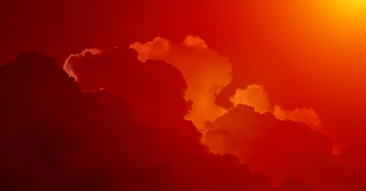 découvrez tout sur l'orange : ses bienfaits, ses utilisations culinaires et ses vertus pour la santé. une source naturelle de vitamines pour votre bien-être.