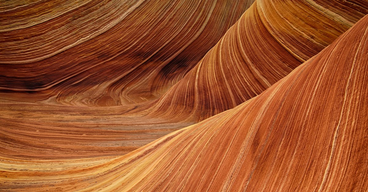 découvrez tout sur l'orange : ses bienfaits, ses utilisations culinaires et ses richesses nutritives pour une alimentation saine et savoureuse.