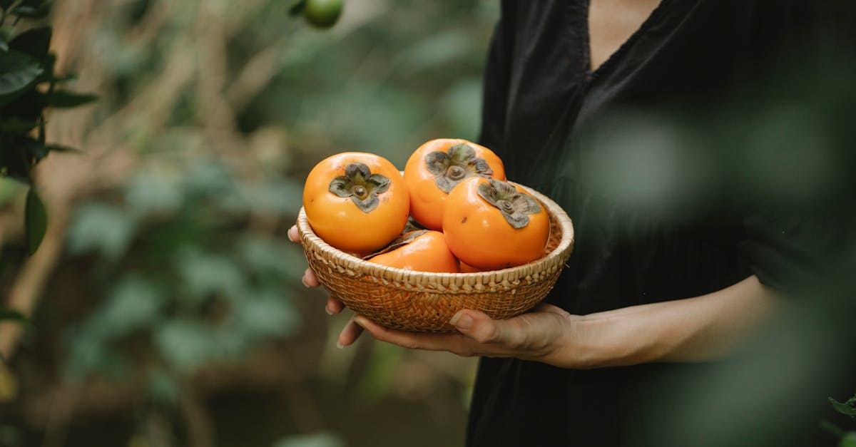 découvrez tout sur le kaki, un fruit délicieux et nutritif, riche en vitamines et en saveurs uniques. apprenez à le choisir, le cuisiner et ses bienfaits pour la santé.