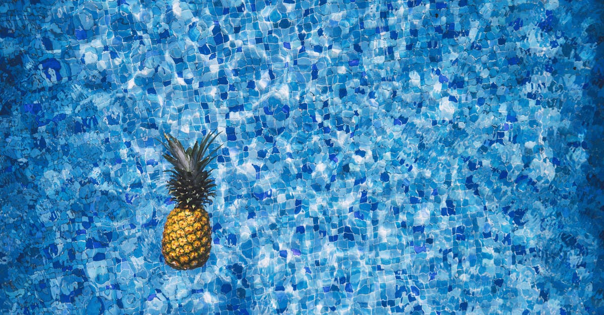 découvrez nos morceaux d'ananas juteux et savoureux, parfaits pour vos recettes ou en collation saine et fraîche.