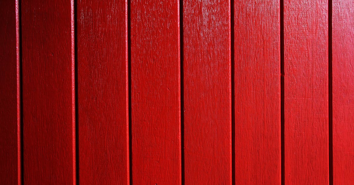 découvrez nos délicieux donuts nature, moelleux et savoureux, parfaits pour toutes vos envies sucrées.