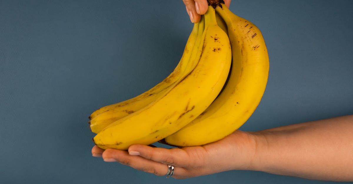 découvrez le plantain, une plante aux multiples bienfaits pour la santé et la peau, utilisée en phytothérapie et cuisine traditionnelle.