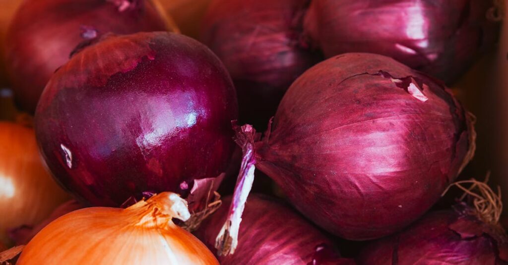 les bienfaits surprenants de l’oignon cru pour votre santé découvrez les bienfaits santé de l'oignon cru, un aliment riche en antioxydants, vitamines et composés bénéfiques pour renforcer le système immunitaire et améliorer la digestion.