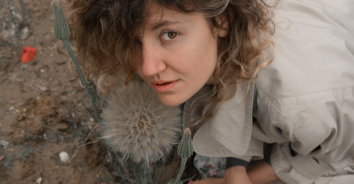 découvrez le salsify, une plante racine nutritive et savoureuse, idéale pour vos recettes gourmandes et saines.