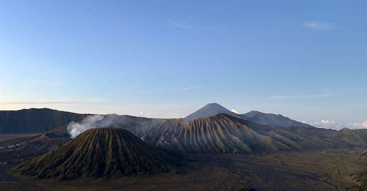découvrez ce qu'est le point de fumée, son importance en cuisine et comment choisir les huiles adaptées pour une cuisson saine et savoureuse.