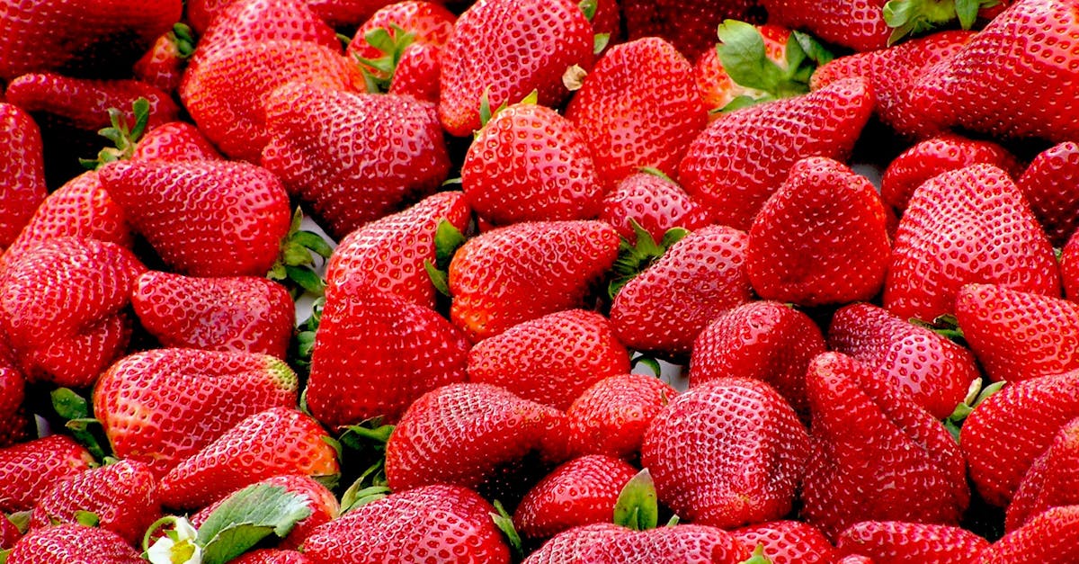 découvrez tout sur la fraise : ses bienfaits, recettes gourmandes, astuces de culture et conseils pour choisir les meilleurs fruits.