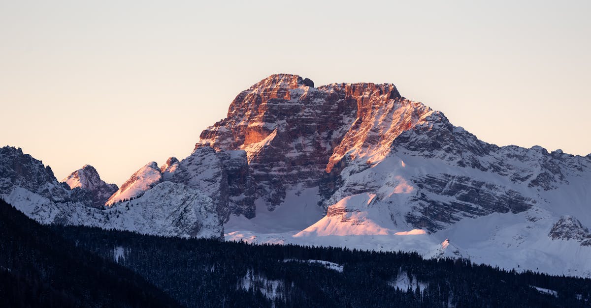 découvrez la tomate rouge d'hiver, savoureuse et idéale pour vos recettes de saison, apportant fraîcheur et couleur à vos plats même en hiver.