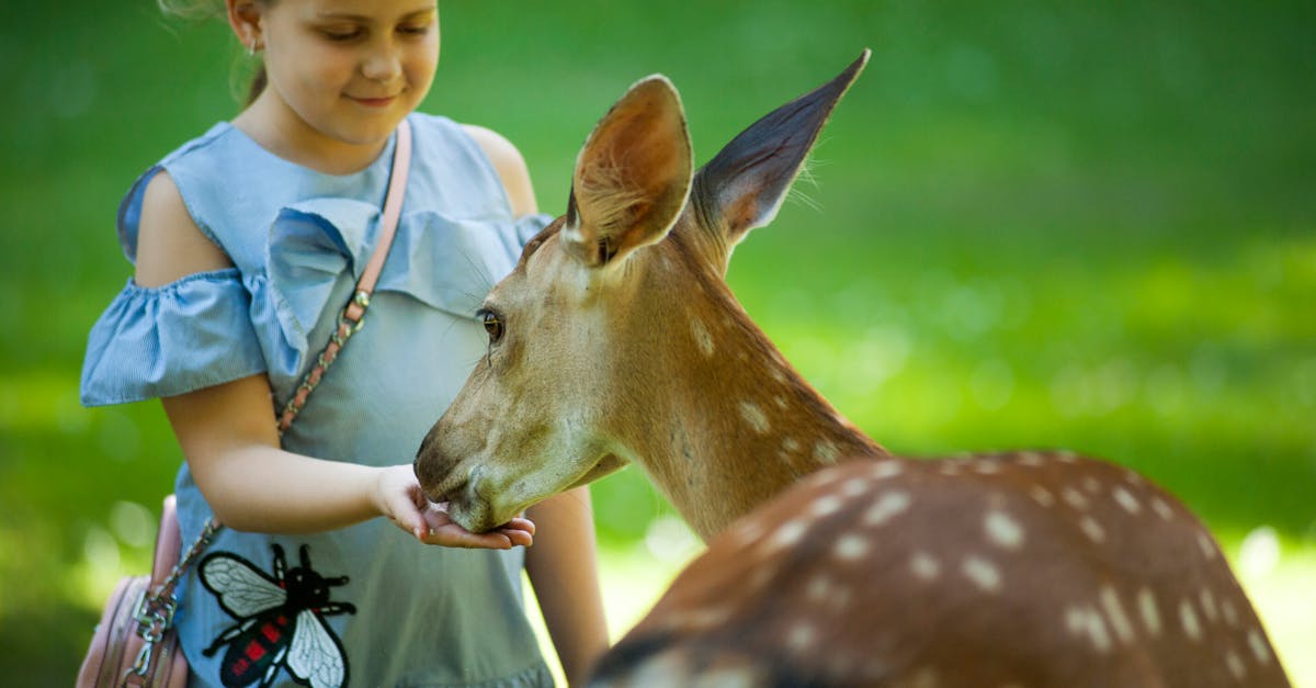 découvrez nos délicieuses spécialités à base de foie de veau, riches en saveurs et parfaites pour les amateurs de cuisine raffinée.