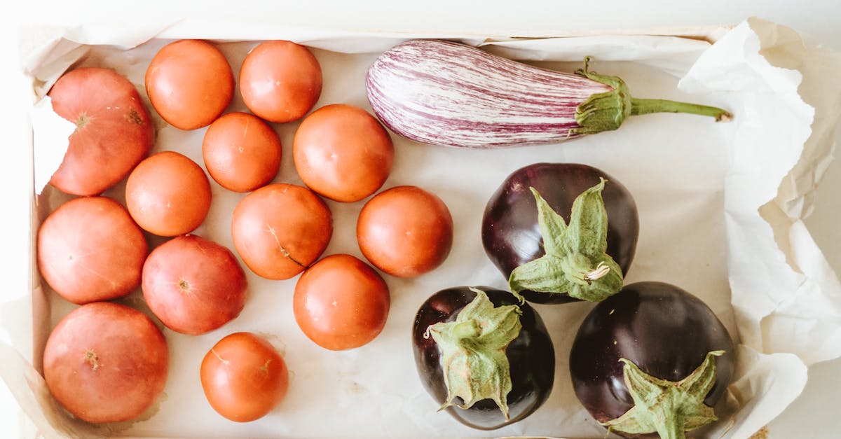 découvrez des recettes savoureuses et faciles à base d'aubergine pour cuisiner ce légume polyvalent et nutritif.