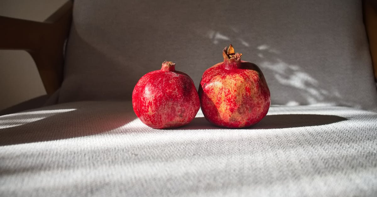 découvrez la diète fletcher, une méthode alimentaire équilibrée basée sur la mastication optimale pour améliorer la digestion et favoriser la perte de poids naturellement.