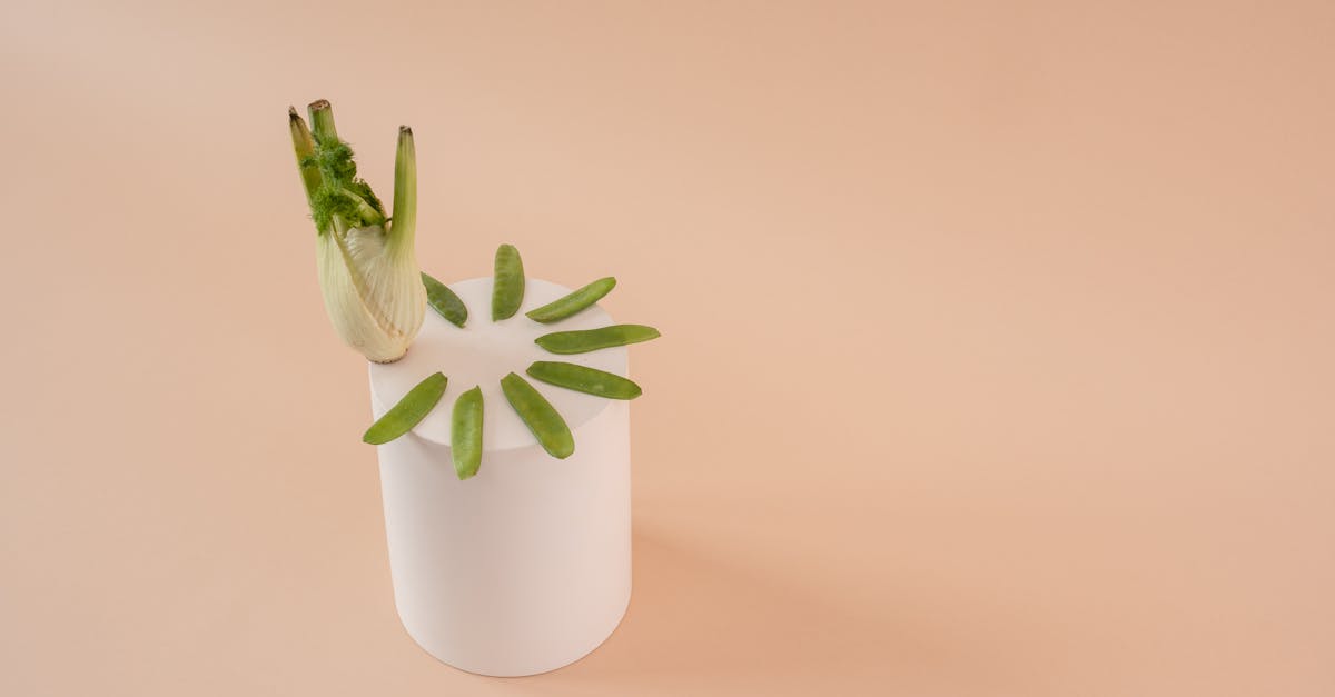 découvrez nos pois frais, récoltés à maturité pour une saveur sucrée et une fraîcheur exceptionnelle. parfaits pour vos recettes printanières et estivales.