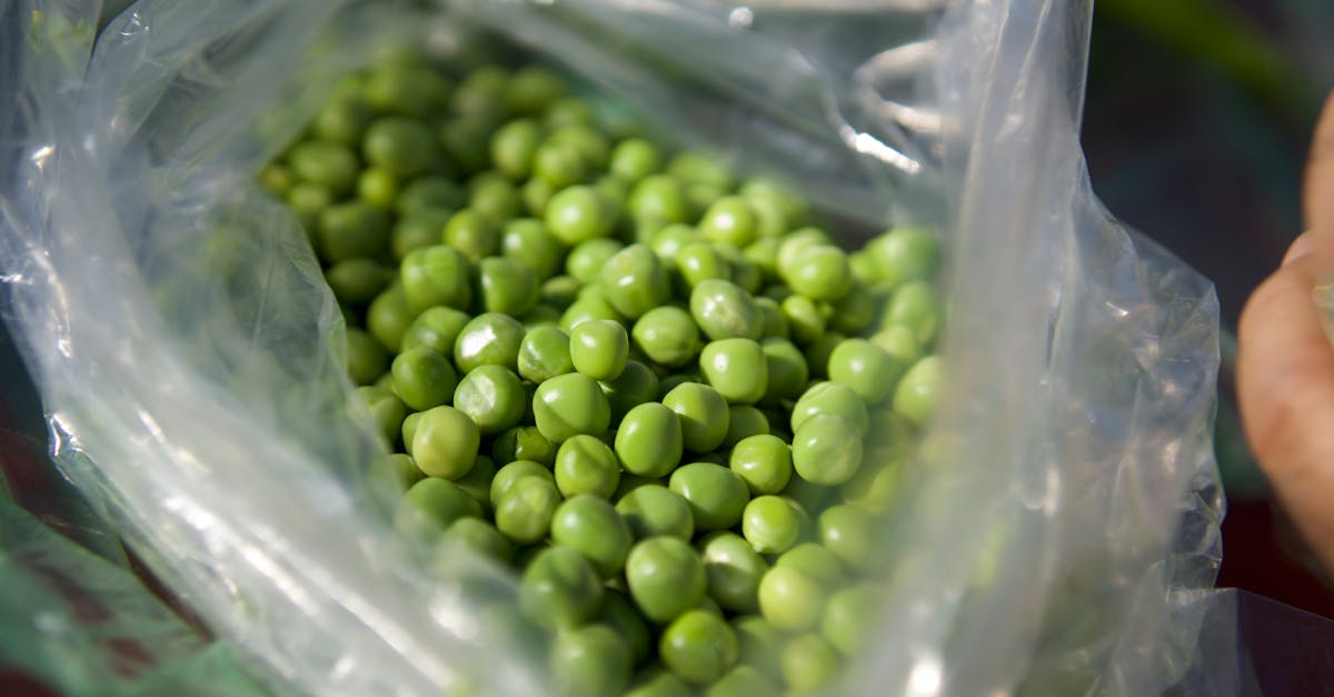 découvrez nos pois frais, récoltés à maturité pour une saveur sucrée et une texture croquante. parfaits pour vos recettes maison ou comme encas sain.