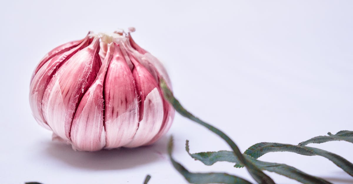 découvrez les bienfaits de l'ail noir, un ingrédient naturel aux saveurs douces et caramélisées, parfait pour sublimer vos plats tout en apportant des vertus pour la santé.