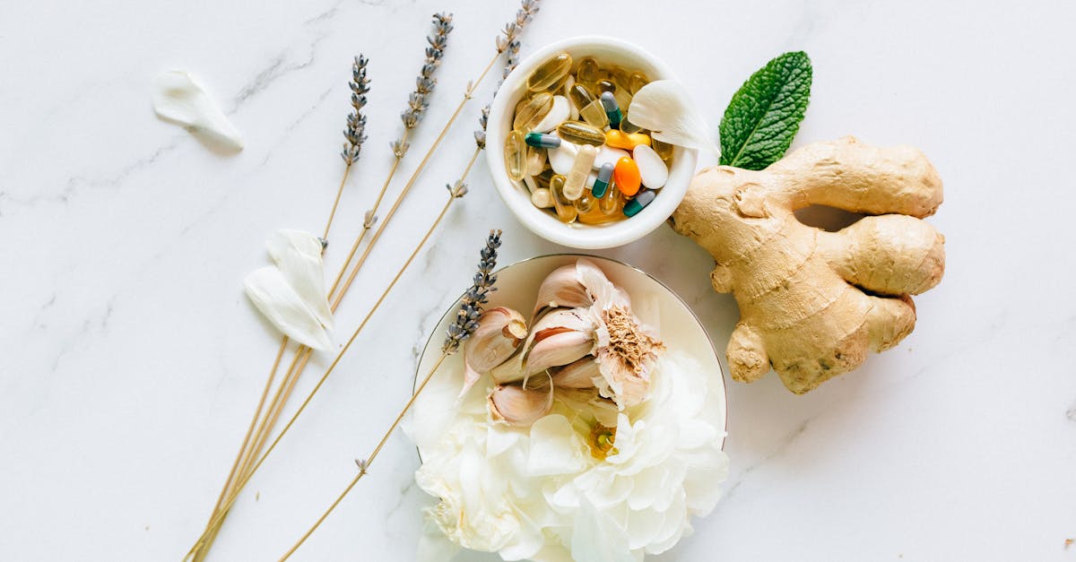 découvrez les bienfaits du ail noir pour la santé : antioxydant puissant, renforcement du système immunitaire et amélioration de la digestion.