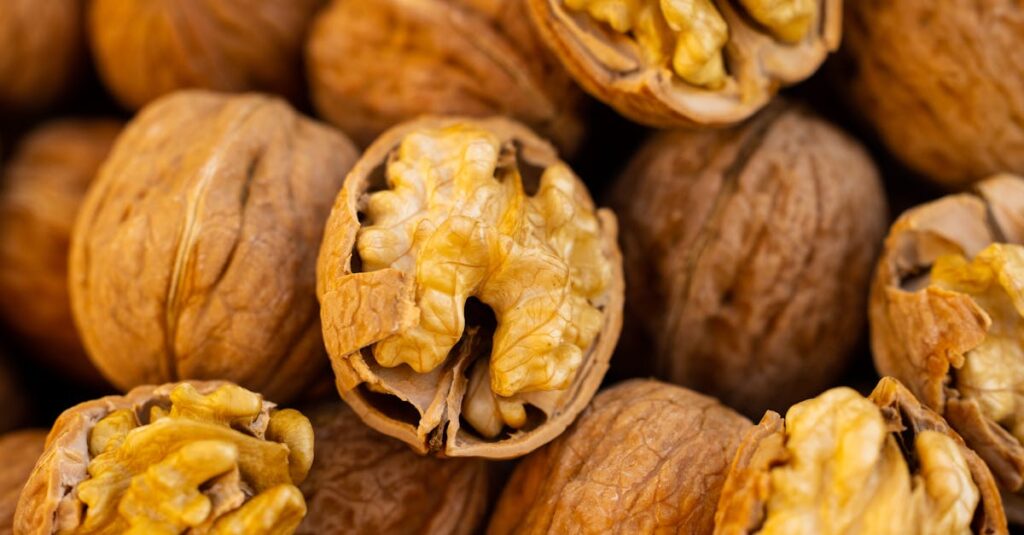 découvrez les meilleurs aliments pour booster votre cerveau, améliorer la concentration et stimuler la mémoire avec notre guide complet sur la brain food.