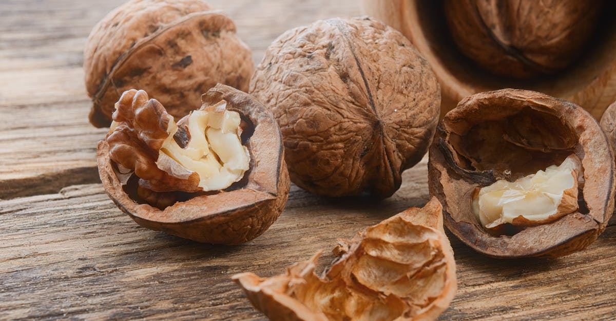 découvrez les aliments bénéfiques pour stimuler votre cerveau, améliorer votre concentration et booster votre mémoire grâce à notre guide complet sur la brain food.