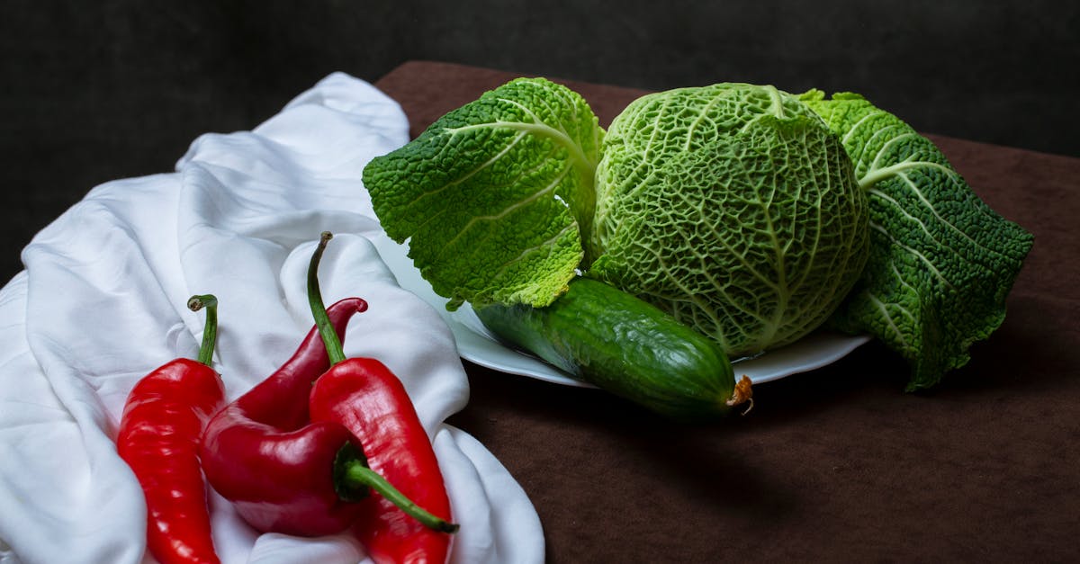 découvrez les conseils nutritionnels essentiels pour gérer la gastrite grâce à une alimentation adaptée, favorisant le soulagement et la guérison.