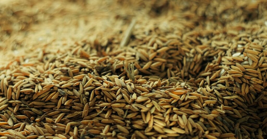 découvrez notre sélection de nourriture sèche de qualité pour animaux, offrant une alimentation équilibrée et pratique au quotidien.