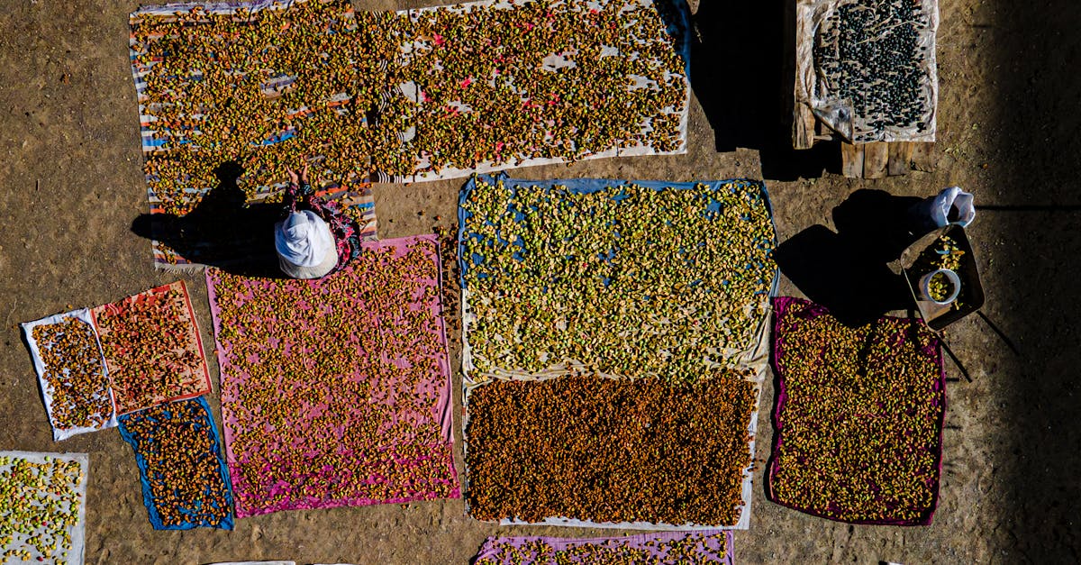 découvrez notre sélection de nourriture sèche de qualité pour animaux, alliant nutrition équilibrée et saveur pour le bien-être quotidien de votre compagnon.