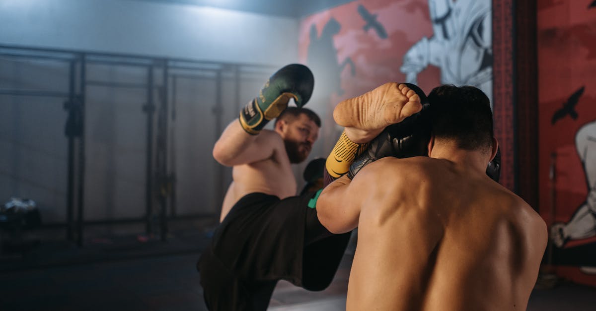 découvrez les aliments essentiels pour combattre l'anémie efficacement grâce à une alimentation riche en fer, vitamines et nutriments clés.