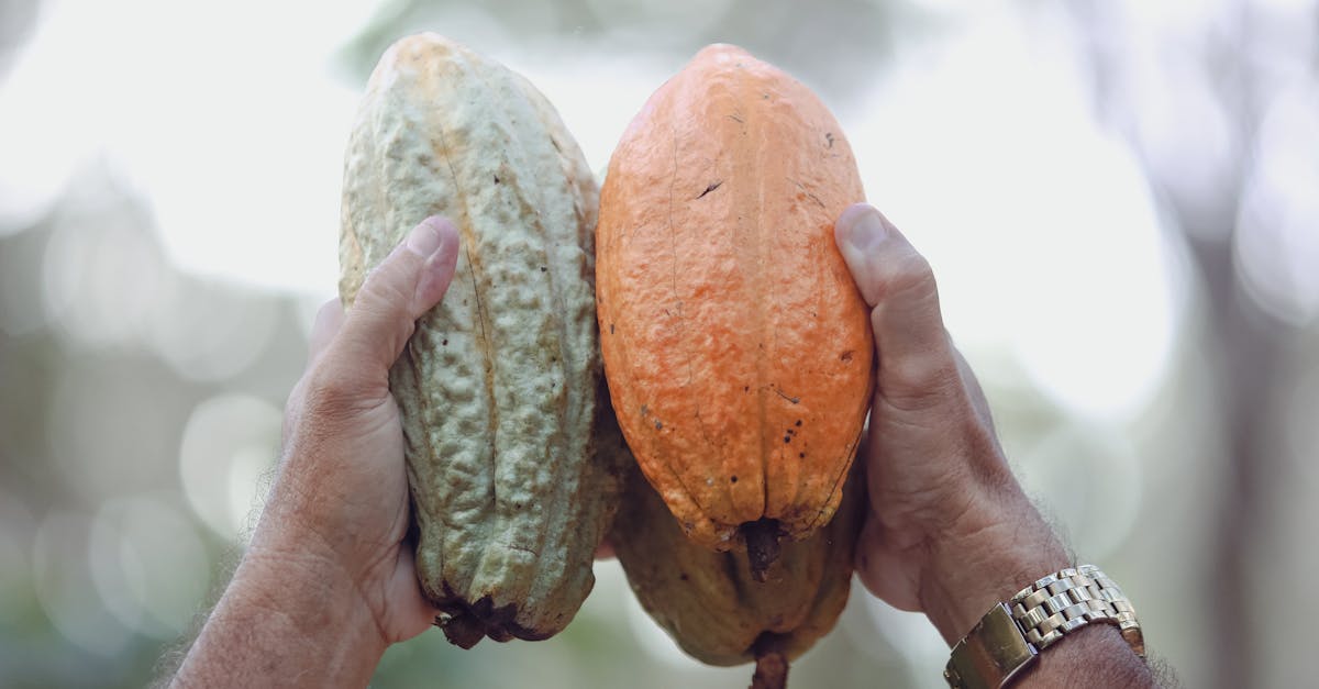 découvrez l'importance de la consommation de fruits et légumes pour une alimentation saine et équilibrée, essentielle pour le bien-être et la prévention des maladies.