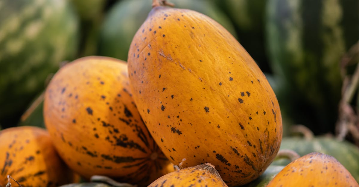 découvrez l'importance de la consommation de fruits et légumes pour une alimentation équilibrée et une meilleure santé au quotidien.