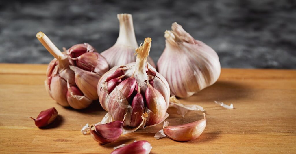 découvrez les bienfaits de l'ail pour la santé, ses propriétés nutritives et comment l'intégrer dans votre alimentation quotidienne.