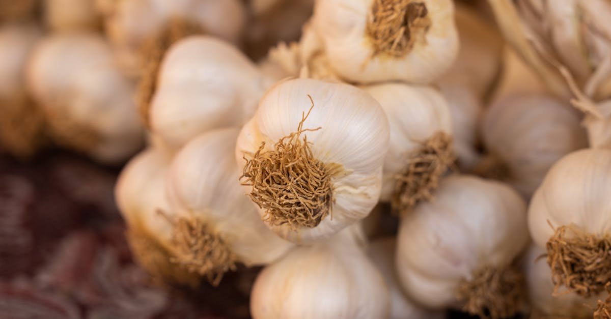 découvrez les bienfaits de l'ail pour la santé, ses propriétés antibactériennes, antivirales et ses effets bénéfiques sur le système cardiovasculaire.