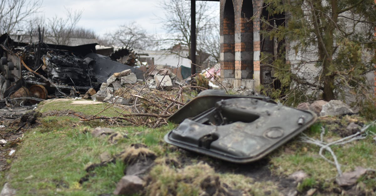 découvrez l'importance du microbiote intestinal, son rôle essentiel dans la santé digestive et le bien-être général.