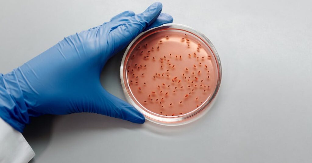 découvrez l'importance du microbiote intestinal et son rôle essentiel dans la santé digestive, le système immunitaire et le bien-être général.