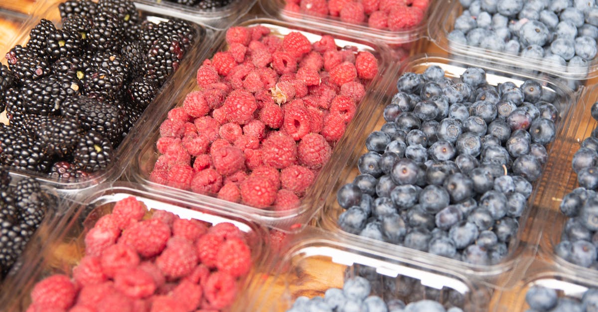 découvrez les aliments riches en iode essentiels pour une santé optimale, favorisant la fonction thyroïdienne et le bien-être général.