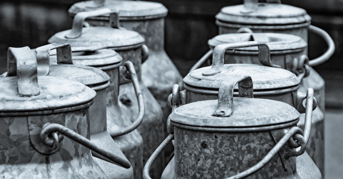 découvrez tout sur l'intolérance au lactose : symptômes, causes, diagnostic et conseils pour une alimentation adaptée.