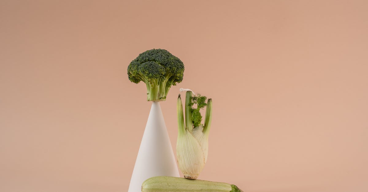 découvrez des conseils pratiques et des informations essentielles sur la nutrition pour adopter une alimentation saine et équilibrée au quotidien.