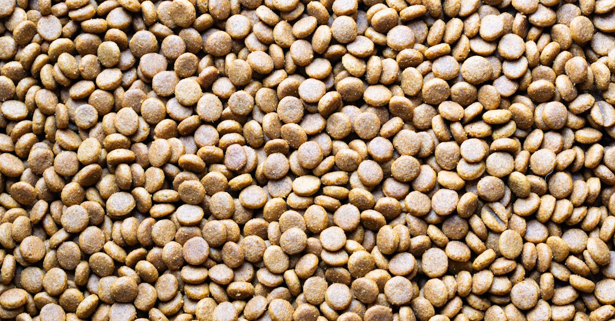 découvrez des conseils et informations essentiels sur la nutrition pour adopter une alimentation saine et équilibrée au quotidien.