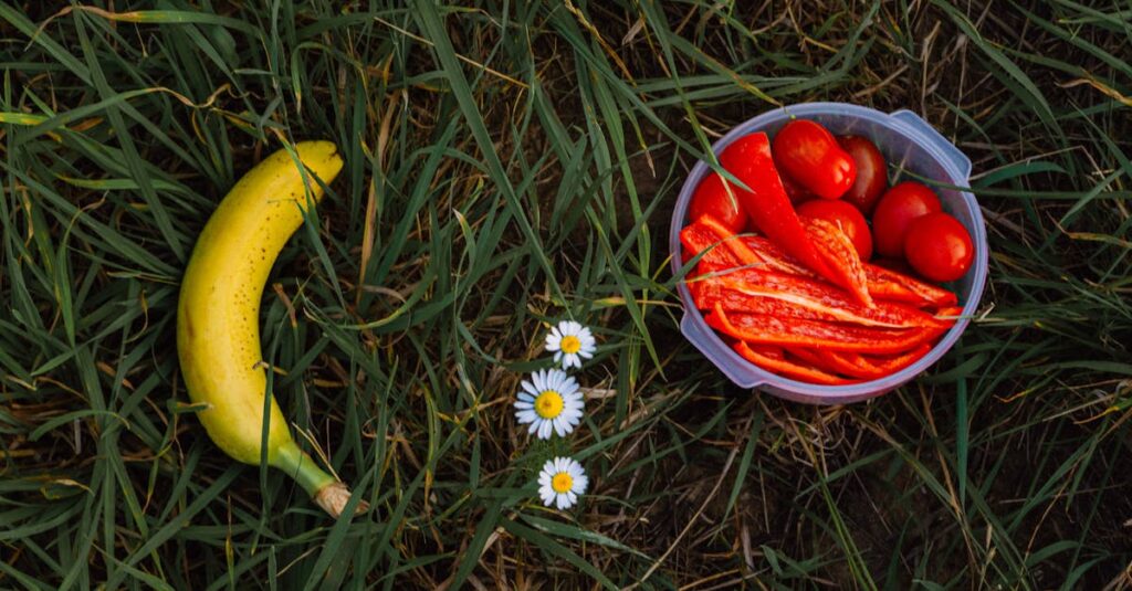découvrez les aliments riches en potassium pour améliorer votre santé cardiovasculaire et équilibrer votre tension artérielle au quotidien.
