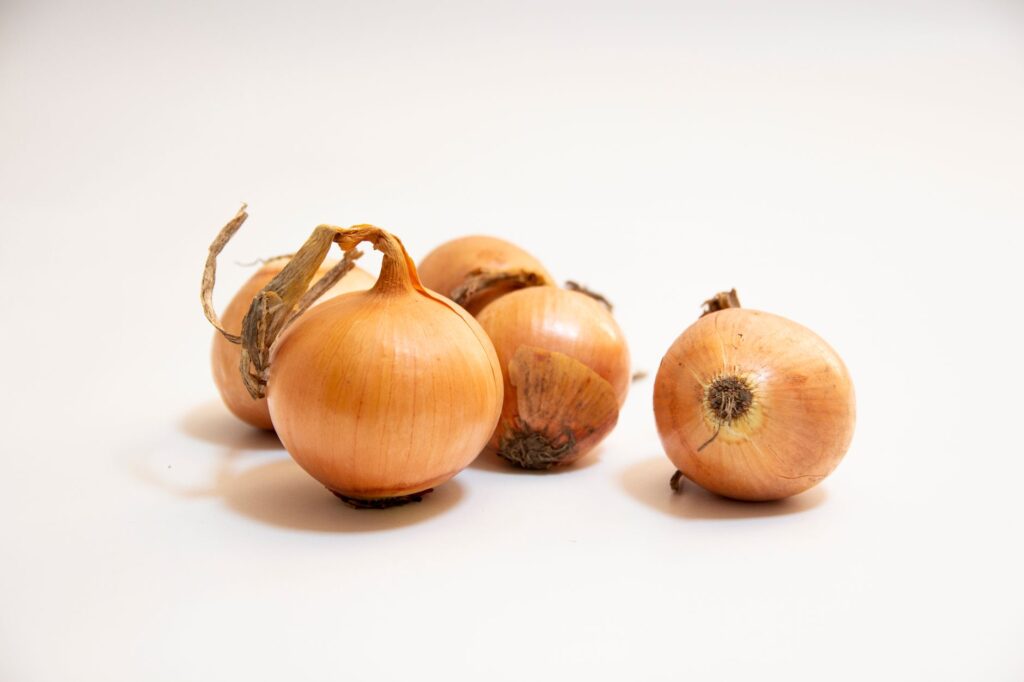 Gros plan d'oignons bruns frais sur fond blanc, idéal pour illustrer des concepts culinaires.