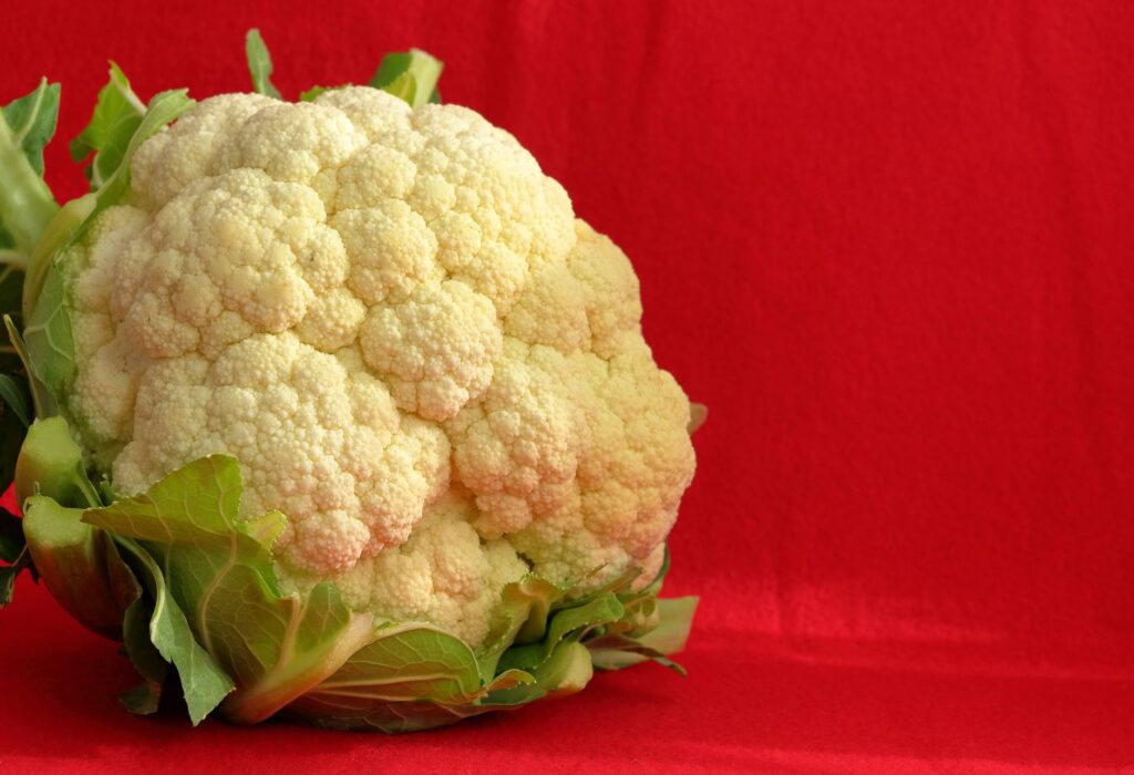 Gros plan d'un chou-fleur frais sur fond rouge vif, mettant en valeur sa texture et sa couleur.