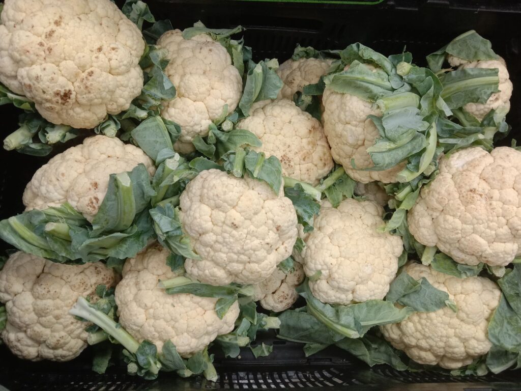 Vue de dessus de choux-fleurs frais avec des feuilles sur un marché indien, prêts à être vendus.