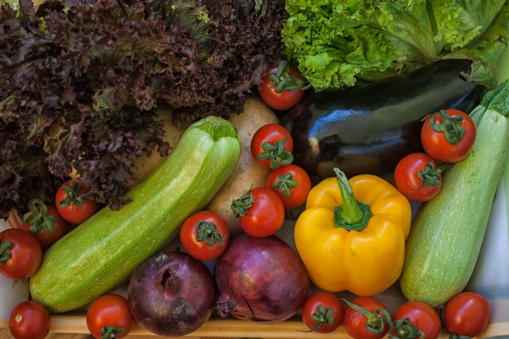 Un étalage coloré de légumes frais biologiques, notamment des courgettes, des tomates et de la laitue.