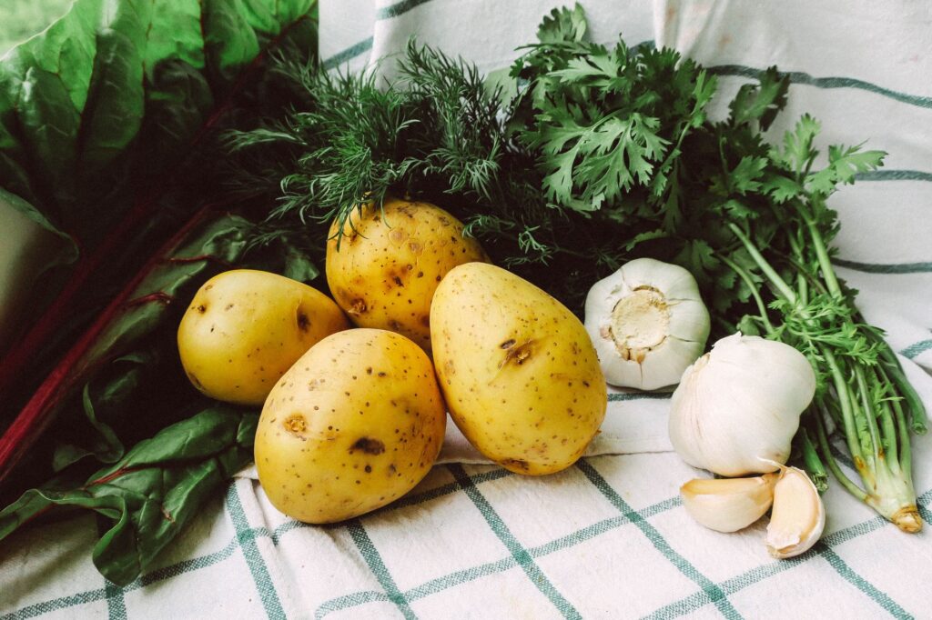 Gros plan de pommes de terre fraîches, ail et herbes sur un torchon à carreaux verts.